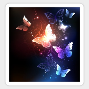 Glowing Night Butterflies on Black Background Sticker